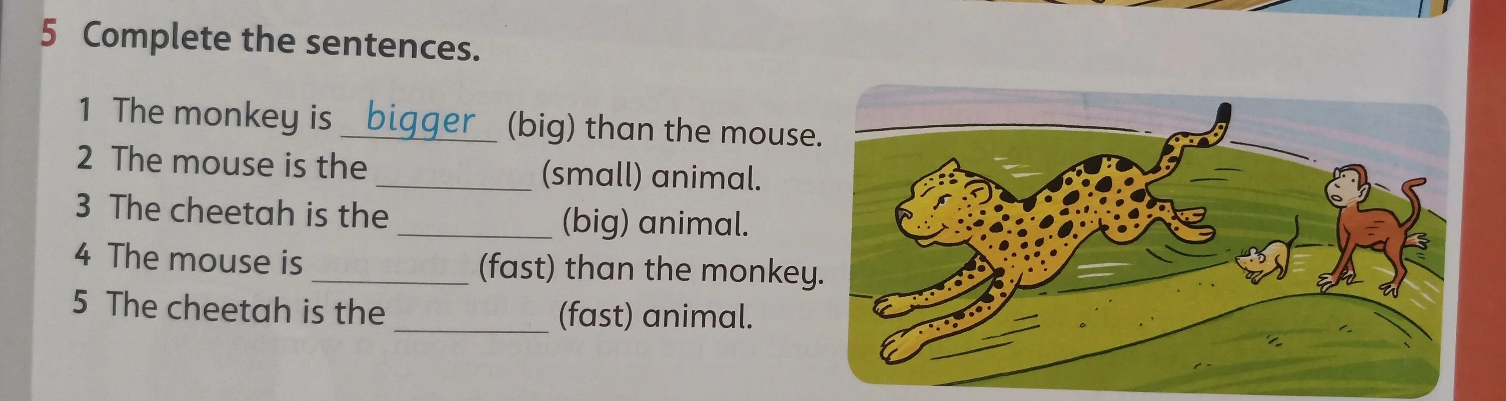 Make the sentences and read them