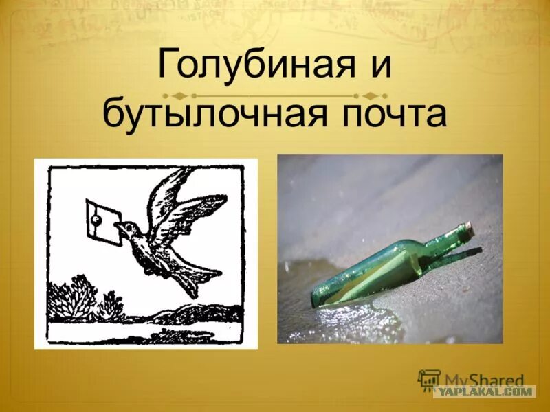 Бутылочная почта сообщение. Бутылочная почта сообщение
