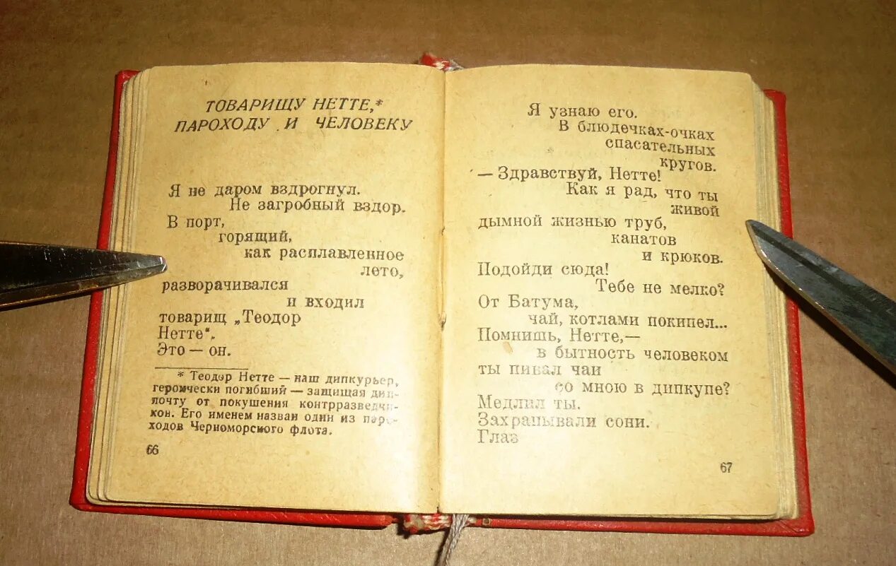 Пароход нетте маяковский. Маяковский Нетте пароходу и человеку. Стихотворение Маяковского товарищу Нетте пароходу и человеку. Стих Маяковского человек и пароход. Стих Маяковского товарищ.