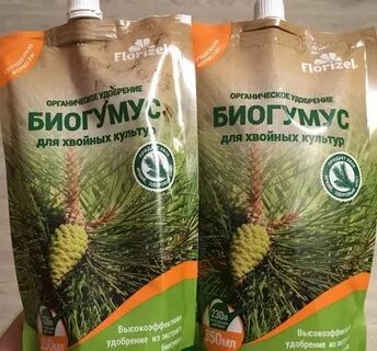 Можно ли подкармливать ели
