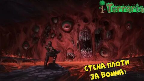 Стена кто победил
