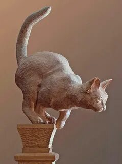 Скульптурный кот