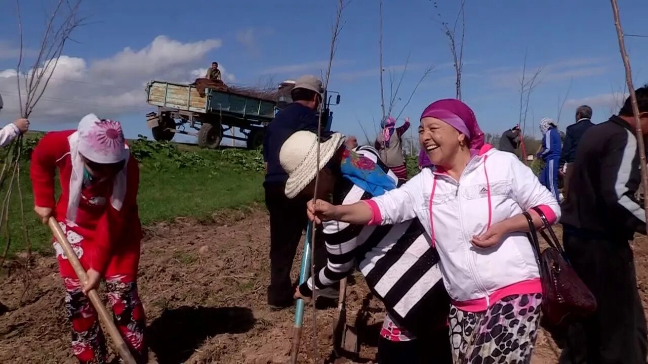 Карагач на 10 дней. Село карагач Прохладненский район. Карагач (Кабардино-Балкария). Село карагач Прохладненский район Кабардино Балкария. Карагач (Кабардино-Балкария) школа.