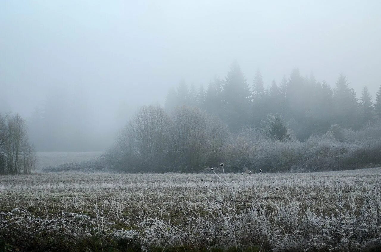 Сугроб туман. Зимнее поле. Пасмурный зимний день. Туман и заморозки. Зимнее поле в тумане.