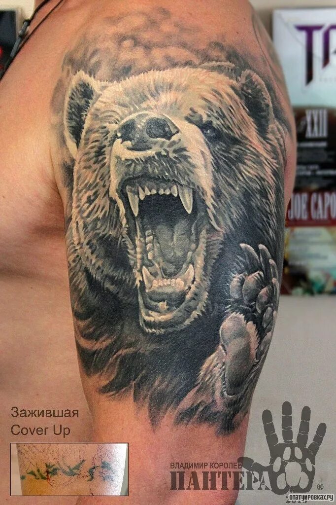 значения тату оскал медведя. значения тату оскал медведя. тату оскал медведя на плече. тату медведь на груди. оскал медведя тату.