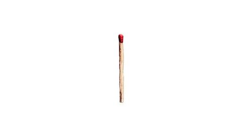 Rammstein das ist liebe