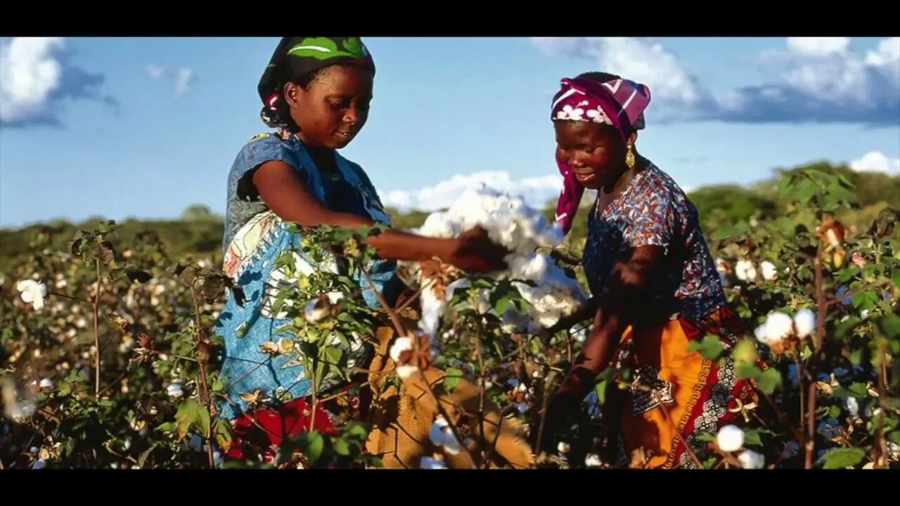 Мали юар статистика. Мали юар статистика. Население африки. Колониальный раздел африки карта. Фабрики африки мали.