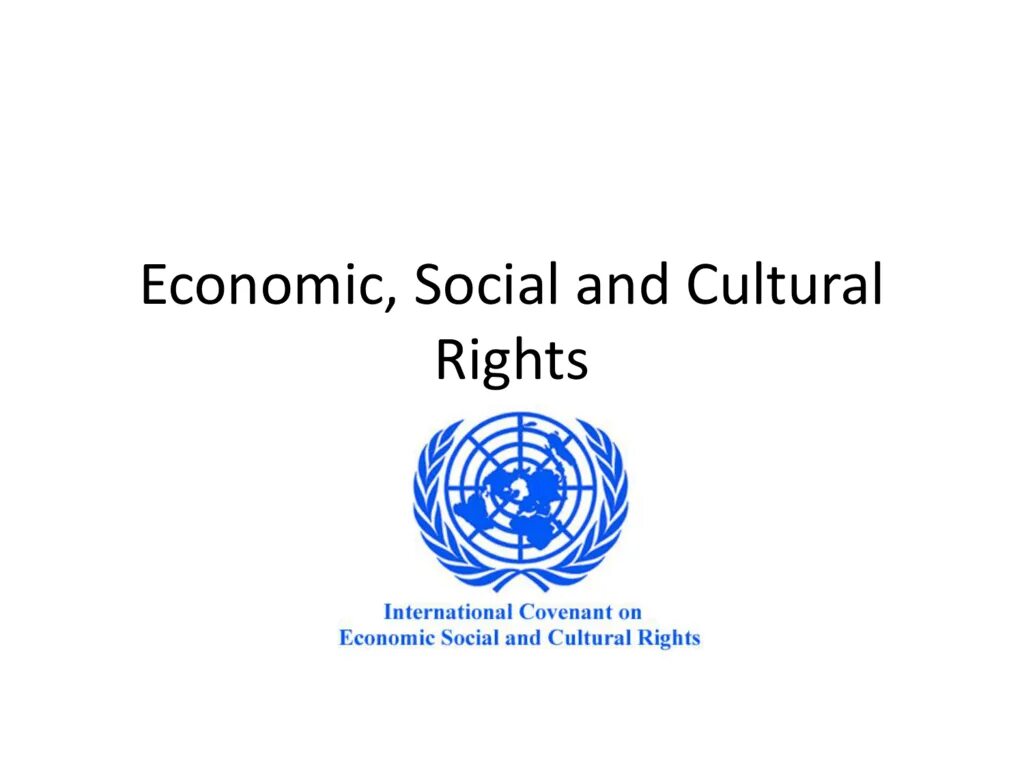 Economy society. International Covenant on economic, social and Cultural rights. Social economic and Cultural rights. Международный пакт о гражданских и политических. Пакт о гражданских и политических правах.