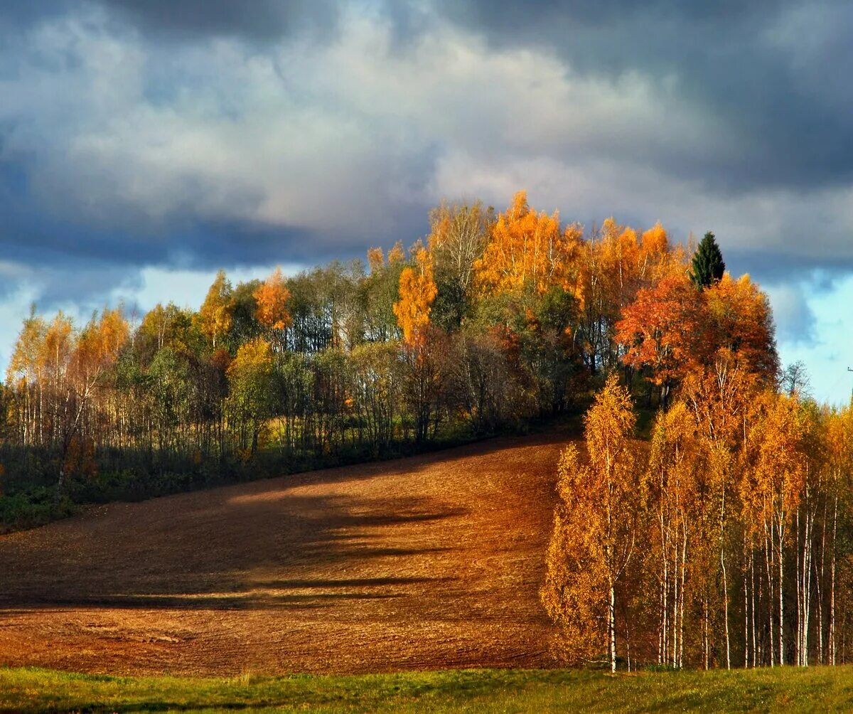 Эстония возвышенность Хаанья. Осенний пейзаж. Природа осень. Природа осенью.