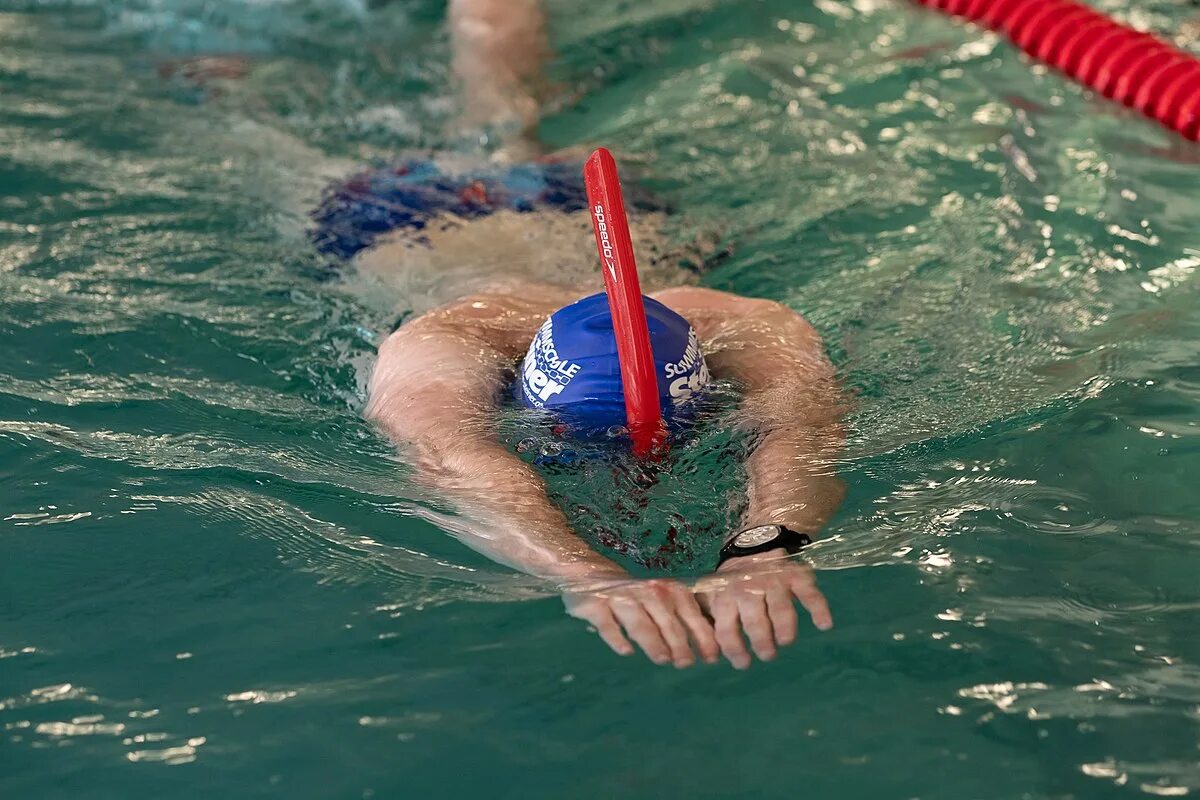 Трубка для плавания в бассейне. Пловец брассом. Спортивное плавание 'баттерфляй' (дельфин). Баттерфляй стиль бассейн. Мор плаватель.