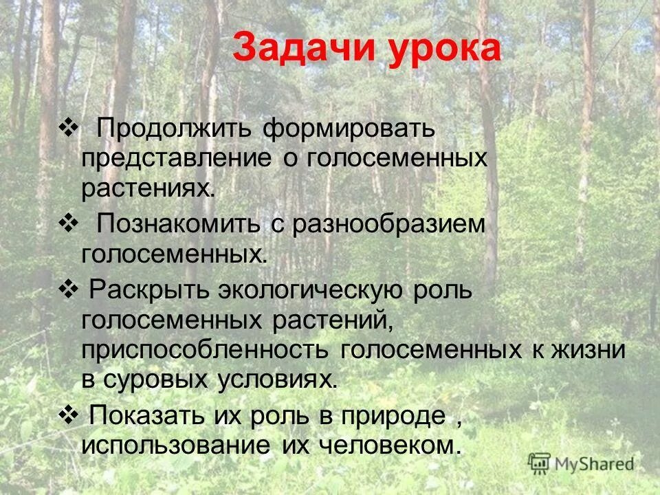 Каковы признаки голосеменных. Роль голосеменных растений. Роль голосеменных растений в природе и жизни человека. Экологическая роль голосеменных растений. Роль голосеменных в природе.