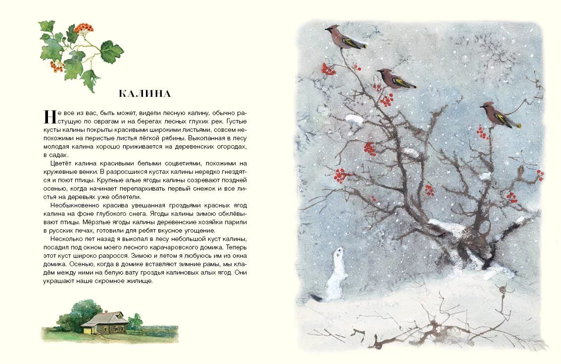 Произведения зима в лесу. Книга русский лес иван соколов-микитов. рассказ русский лес соколов-микитов. соколов-микитов зима в лесу. и соколов микитов книга зима.