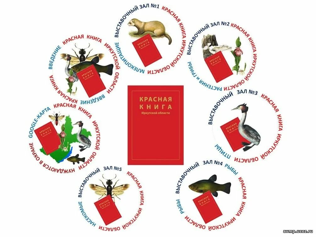 Фон для проекта красная книга. Интерактивная игра красная книга. Интерактивная игра красная книга. Красная книга янао. Интерактивная игра красная книга.