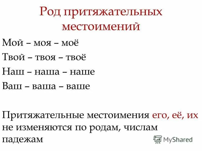 Местоимения мой твой наш ваш свой изменяются. Притяжательные местоимения. Притяжательные местоимения по падежам. Местоимения по родам. Род притяжательных местоимений.