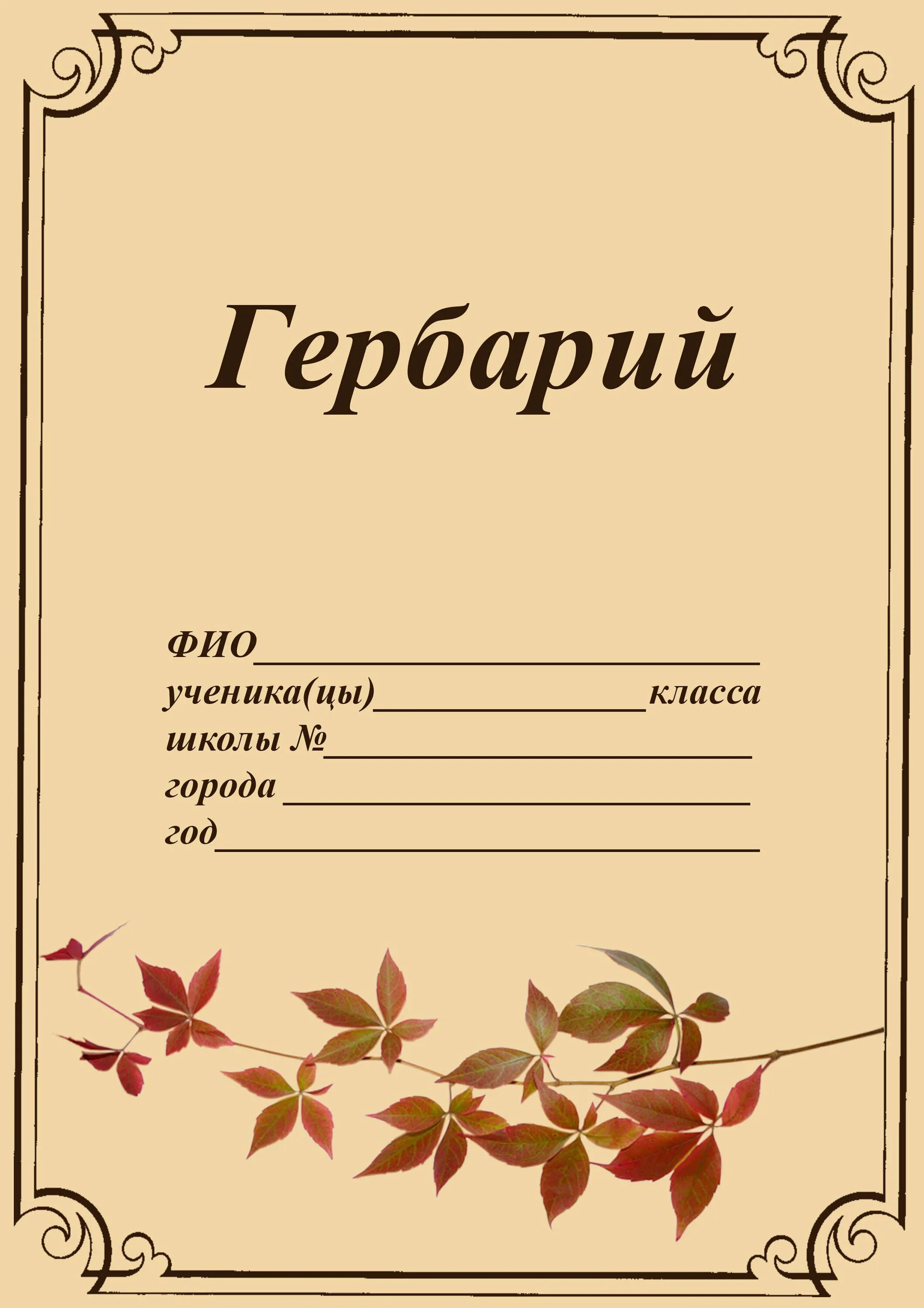 Гербарий оформление титульного листа. Гербарий листья. Шаблон для гербария. Шаблоны для гербария. Гербарий надпись.