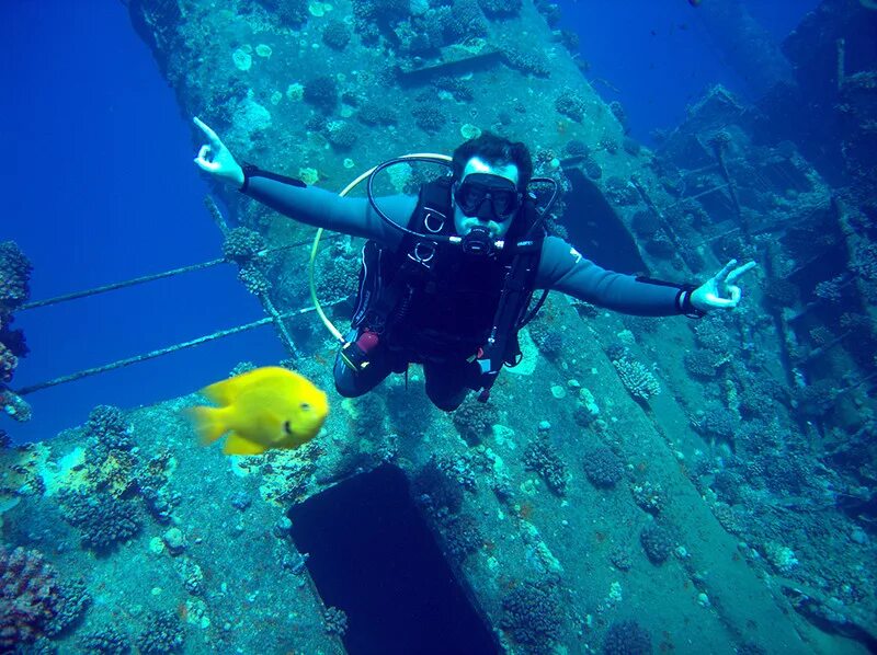 Sea dive. Дайвинг в шармаль Шейхе. Хургада красной море дайвинг. Красное море дайвинг. Египет погружение с аквалангом.