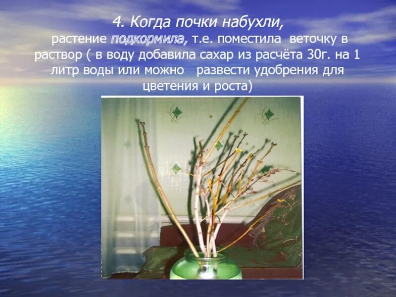 Набухание кожи в воде как называется. Опыт с веткой в воде. эксперимент с веточкой в воде. ветка в воде. поставить веточку в воду.