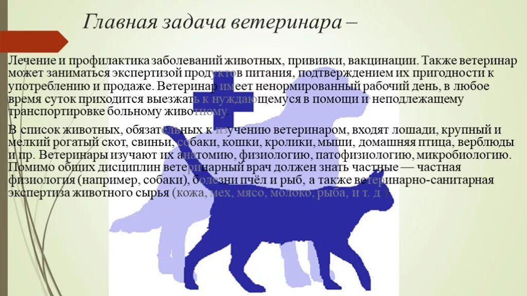 Программа ветеринар. Профессия ветеринар презентация. Презентация на тему Ветеринария. Ветеринар задача профессии. Профилактика заболеваний животных.