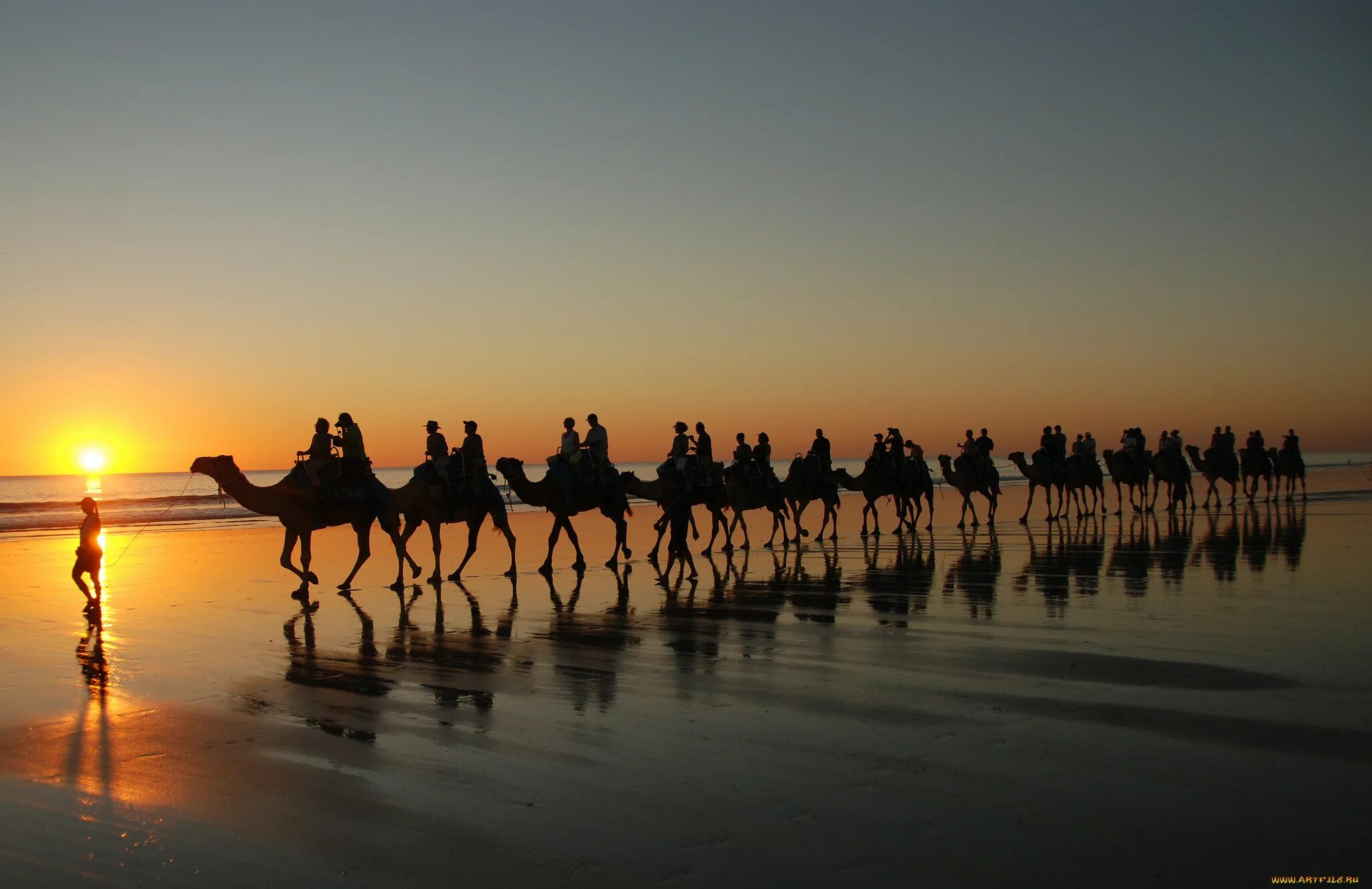 Залив караван. Верблюд в пустыне. Верблюды Караван. Караван верблюдов в пустыне. Пустыня Караван верблюдов на закате.