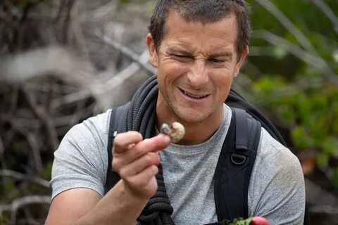 Bear grylls