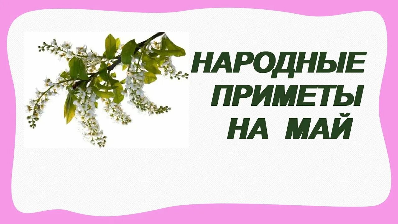 5 примет мая. Приметы мая народные. Май приметы. Майские приметы. Народные приметы в мае.