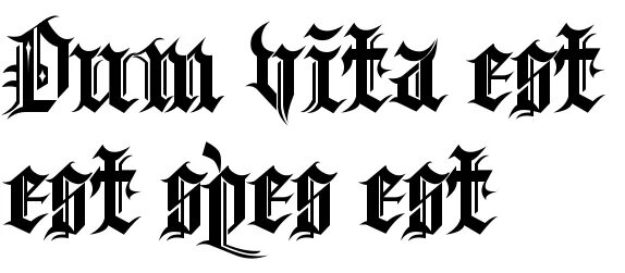 Vitae est. Errare Humanum est тату эскиз. Alea Jacta est тату эскиз. Dum Vita est, Spes est тату. Alea iacta est Татуировка.