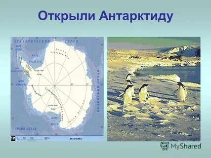 Открытие антарктиды видео
