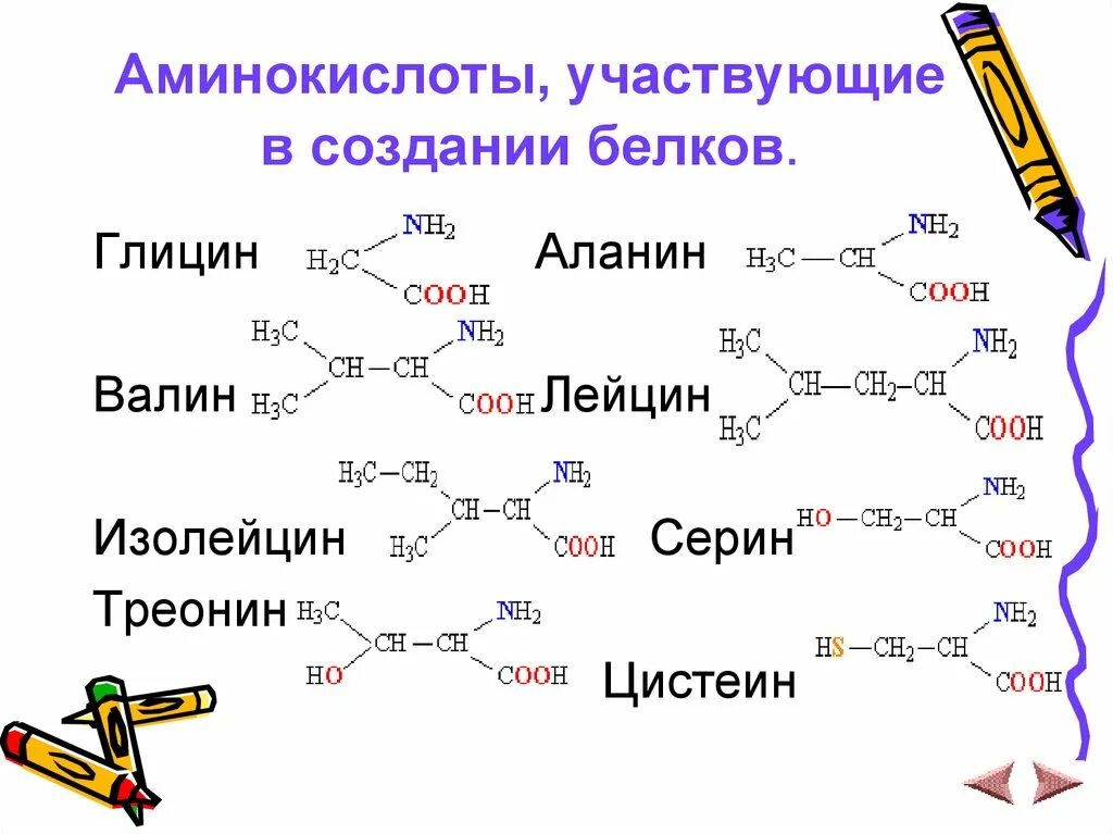 Образование белков. Валин лейцин изолейцин. Глицин и цистеин реакция. Лейцин аминокислота формула. Глицин, аланин, Валин, лейцин и изолейцин.