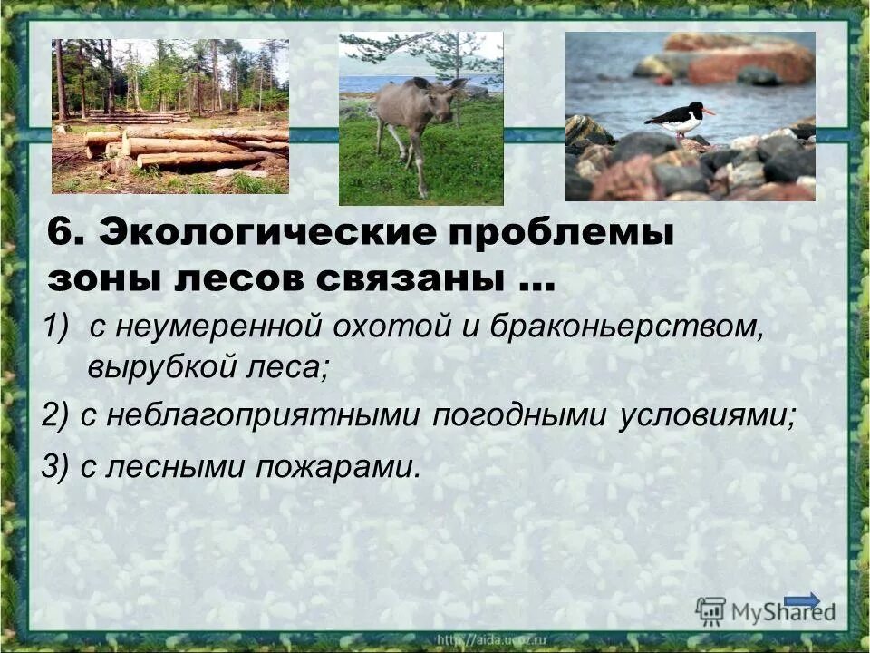 Природная зона больше всего пострадала от человека. Экологические проблемы зоны леса. Экологические проблемы лесных зон. Экологические проблемы и охрана природы в лесных зонах. Экологические проблемы Лесной зоны связанные.