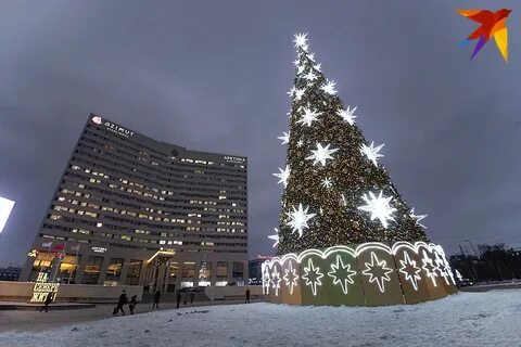 Ели мурманск