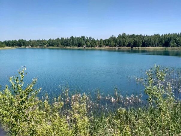 Ульяновск голубое озеро Ульяновск. Голубое озеро Сельдинское шоссе. Голубое озеро Покачи. Голубое озеро Нефтеюганск. Озеро в озерах ульяновск