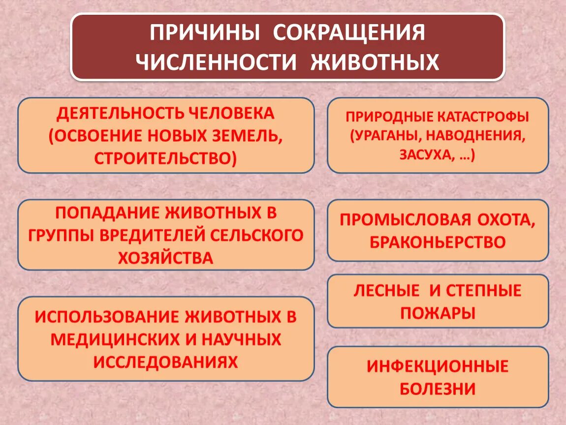 Причины сокращения численности животных. Причины уменьшения численности животных. Причины сокращения численности. Причины сокращения численности видов животных.