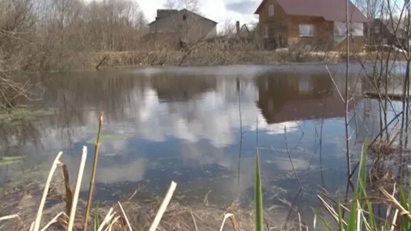 Уровень воды в реке Ветлуга сегодня в Шарье. Уровень воды в Унже в Макарьеве Костромской области. Уровень воды в реке Унжа в Макарьеве. Уровень воды в реке Унжа Мантурово.