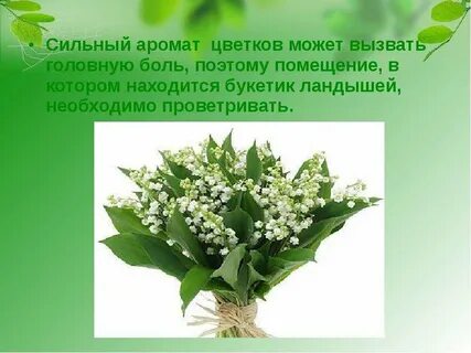 Словосочетание запах цветов