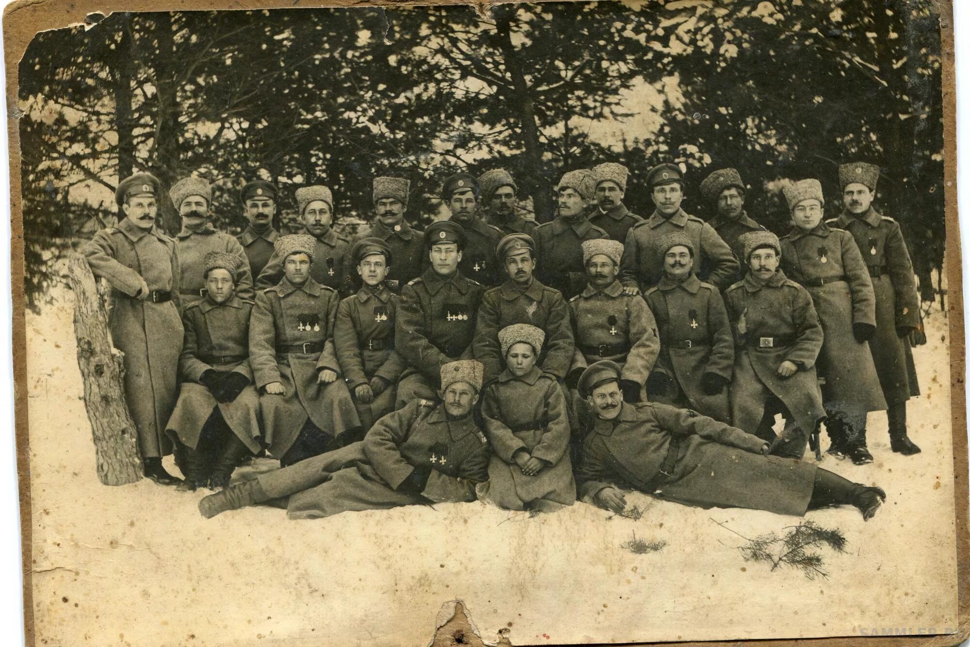 Отдельный стрелковый батальон. Телеграфная рота. Отдельная рота. Отдельный дорожно-строительный батальон