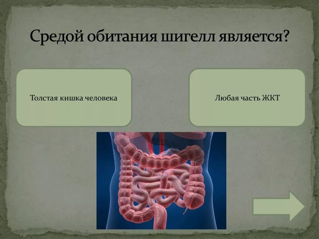 Среда Толстого кишечника. Среда в кишечнике человека. Реакция среды в кишечнике. Кишечные инфекции среда обитания. Толстая кишка среда