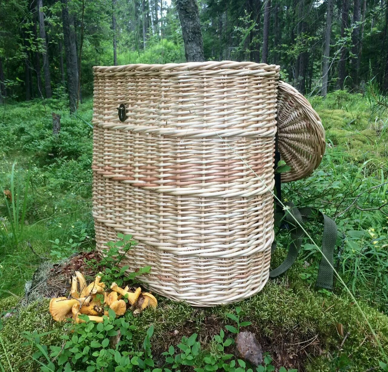 Короб лукошко кузовок. Короб кузовок для грибов. Короб для грибов заплечный из лозы. Плетеный кузовок для грибов заплечный. Кузовок для сбора грибов.