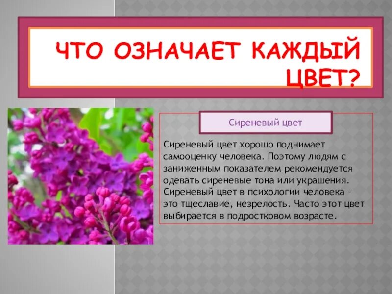 Время в цветах значение. Цветы и их значение в психологии. что означает каждый цвет. значение цветов сирень. сиреневый цвет в цветах значение.