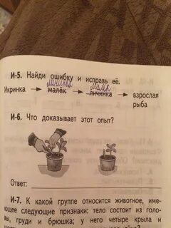 О чем этот опыт