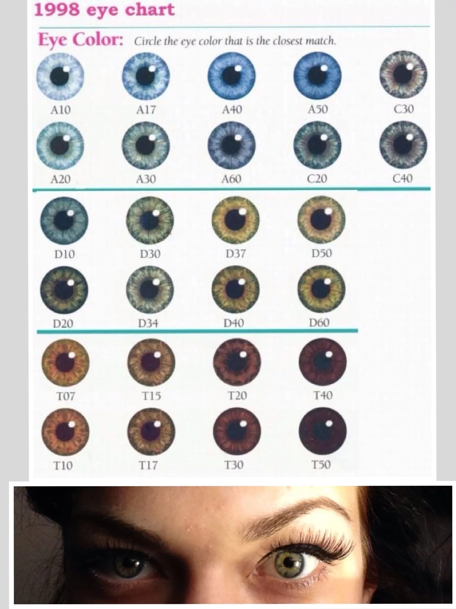 Как узнать какой цвет глаз. 1998 Eye Chart Color. Цвет глаз d60. Шкала цвета глаз. Цвет глаз таблица.