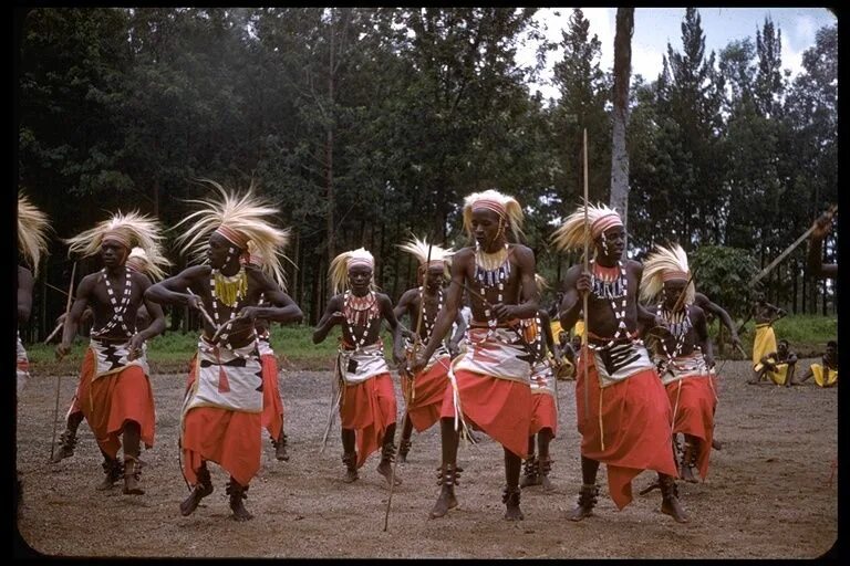 Тутси народ Африки. Ватусси племя. Тутси народ Африки национальный костюм. Тутси племя.
