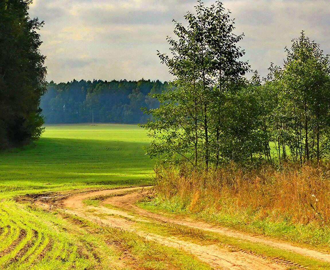 Дарогі вечныя дарогі. Дорога трасса. Сельская дорога. Дорога фото. Дарога верхний тагиркент.