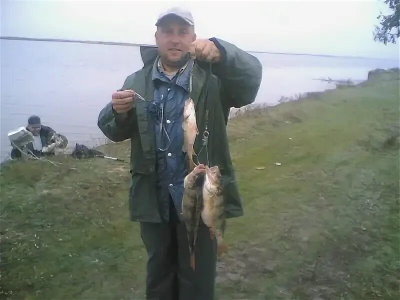 Лемболовское озеро рыбалка. Сальские рыбаки веселовском. Сальские рыбаки веселовском. Сальские рыбаки веселовском. Река маныч рыбалка.