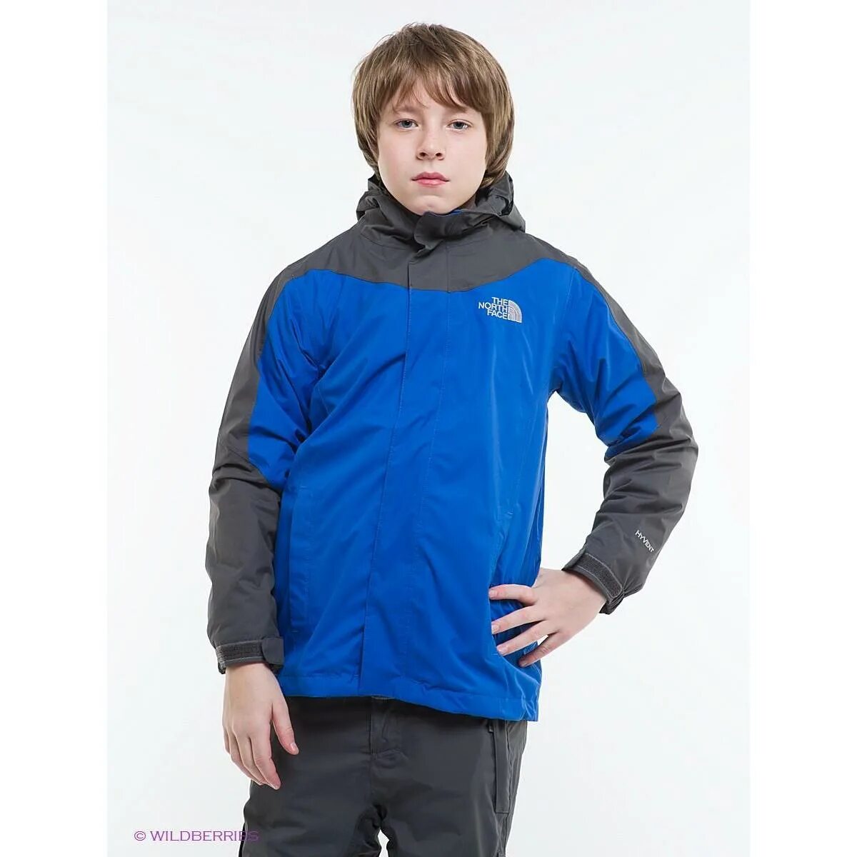 The north face ветровка детская. Куртка the north для мальчика. Куртки the north face the north. Пуховик мужской the north face парка. Куртка the north для мальчика.
