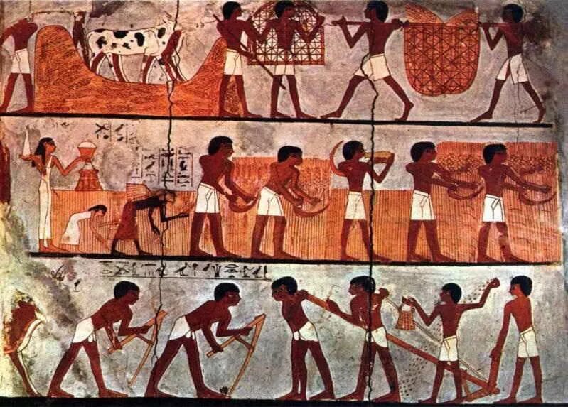 Читать историю человечества. Аграрная революция юваль ной харари. история искусства и человечества. аграрное общество в египте арт. росписи гробницы менеджмента.