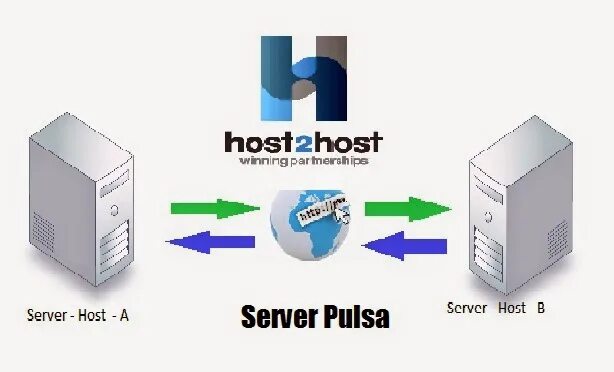 Ips hosting
