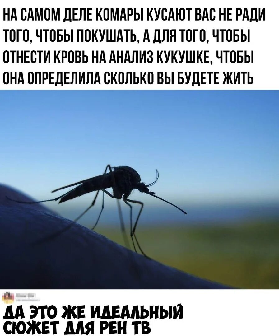 Чтобы было если бы не было