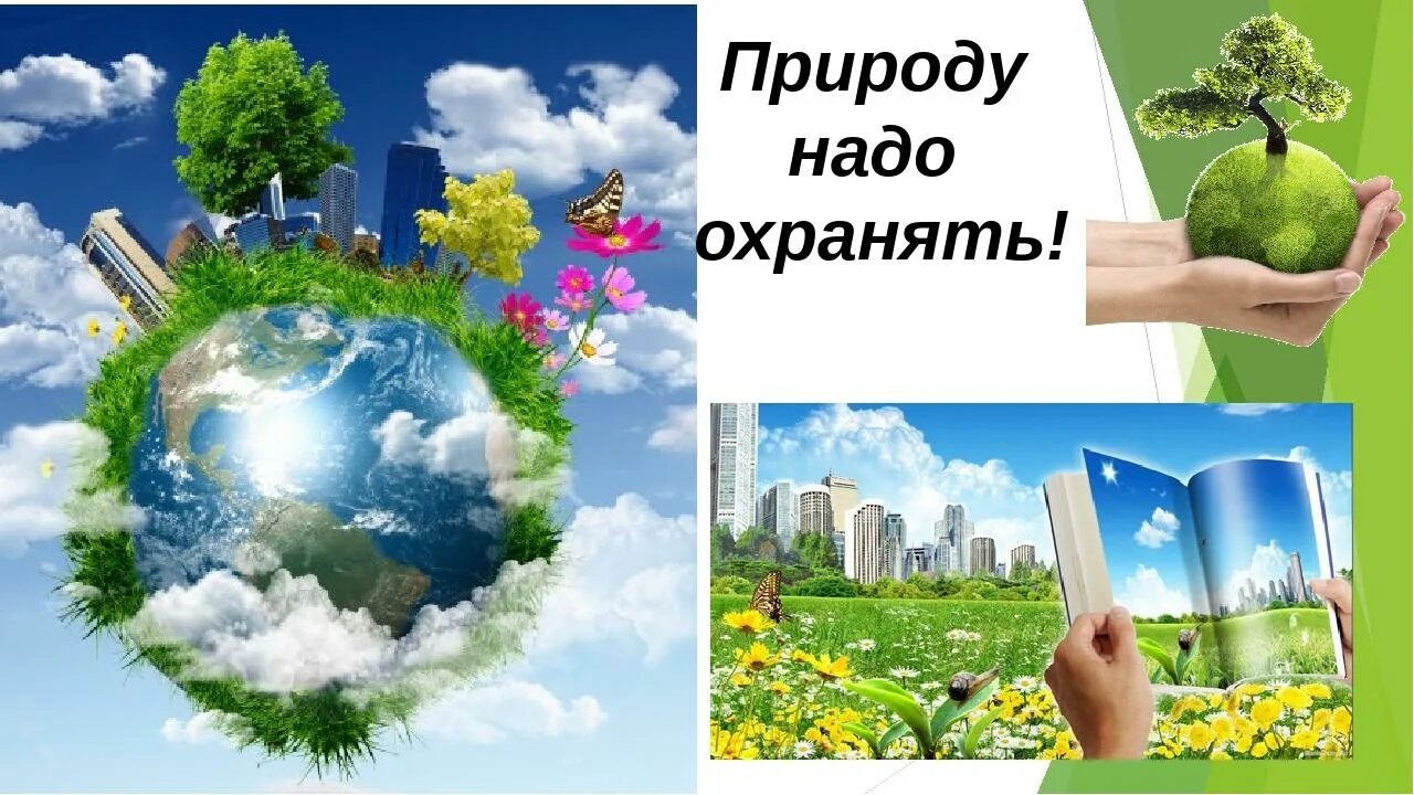 Экология природа проекты