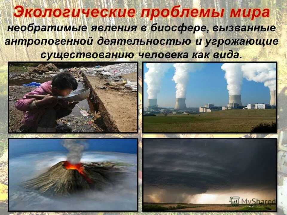 экологическое загрязнение почвы. экологические катастрофы в россии кратко. экологическая катастрофа. природные и антропогенные экологические катастрофы. недавние экологические катастрофы.