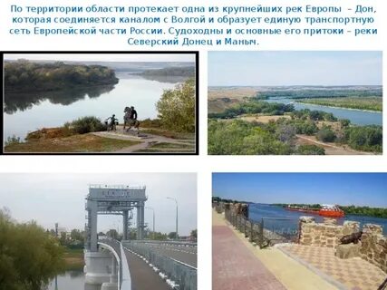 Протек дон